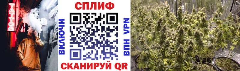 ОМГ ОМГ рабочий сайт  сколько стоит  Алексин  Бошки Шишки White Widow 